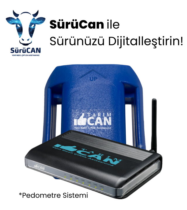 https://www.tarimcan.com/wp-content/uploads/2025/03/x-2.png