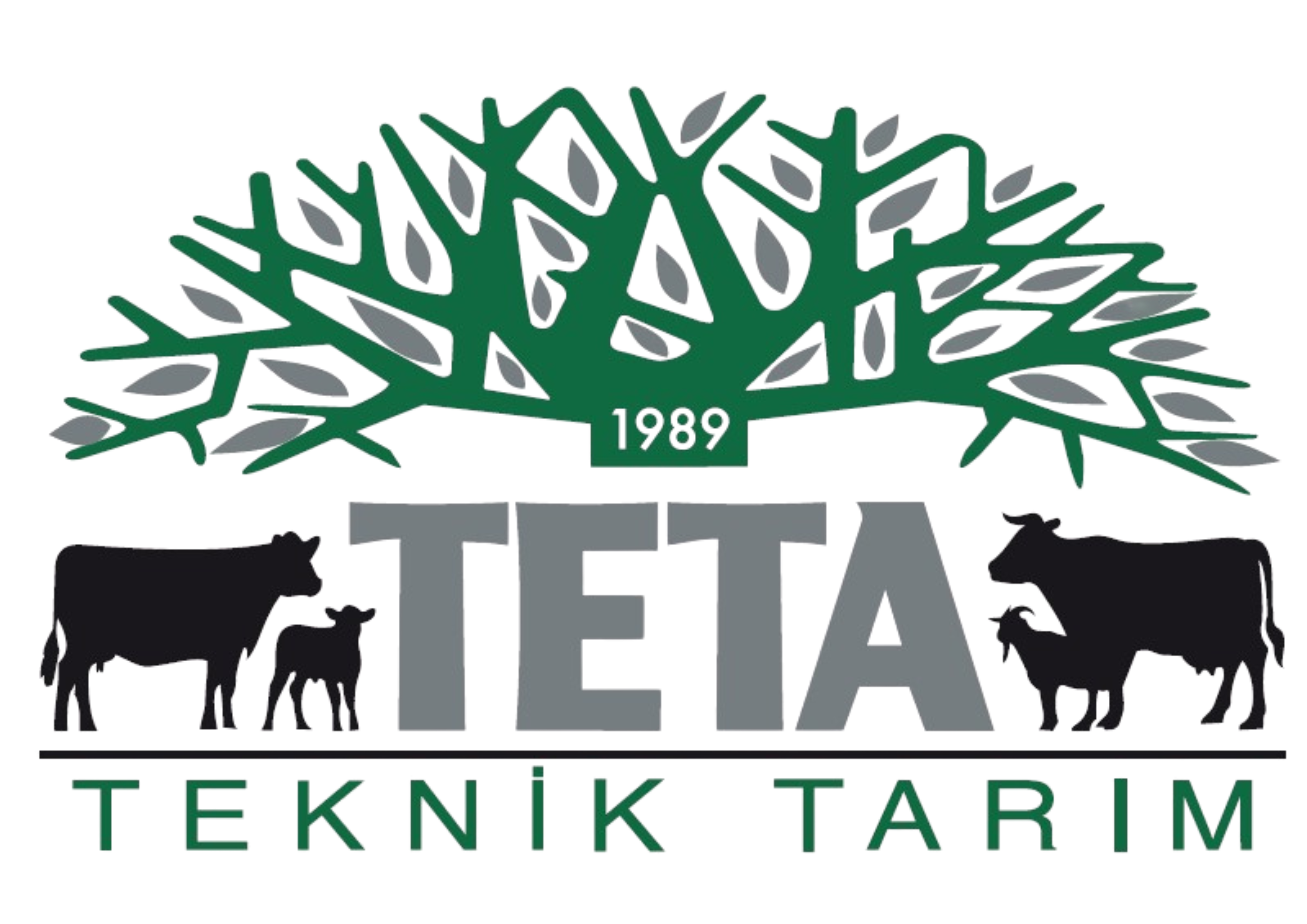 Teta Teknik Tarım