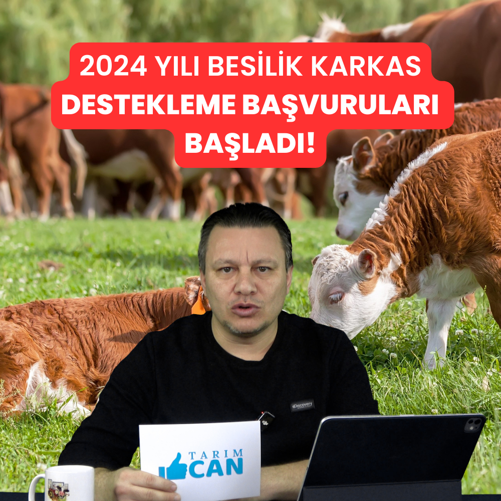 Besilik Erkek Karkas Destekleme