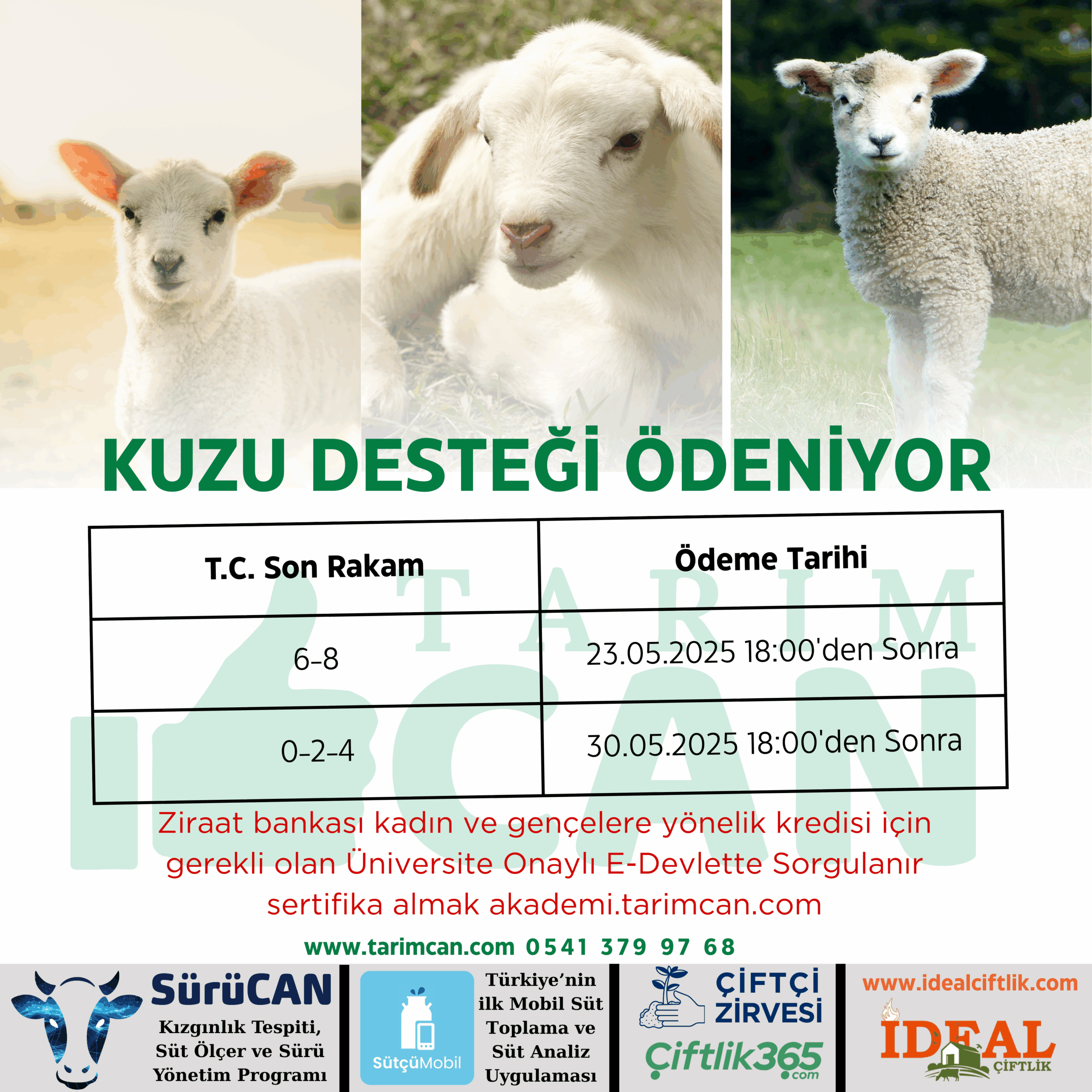 küçükbaş destek ödemeleri 2025