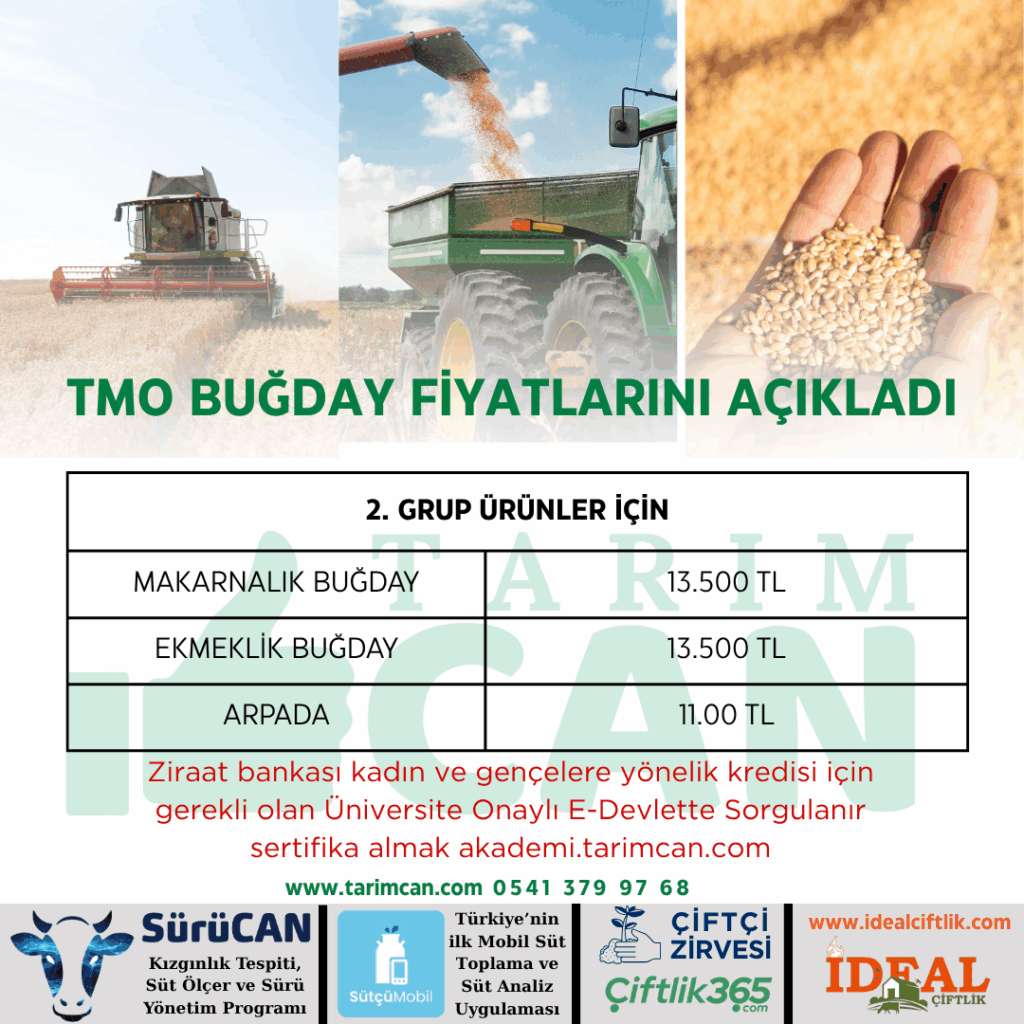 2025 TMO Hububat Alım Fiyatları